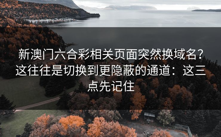 新澳门六合彩相关页面突然换域名?这往往是切换到更隐蔽的通道:这三点先记住
